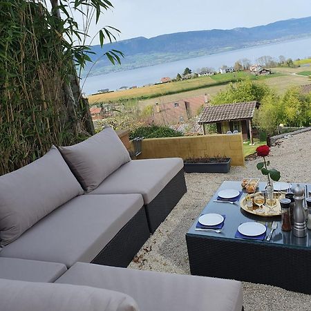 Chalet With Stunning Lake And Mountain Views Avec Une Vue A Couper Le Souffle, Une Spacieuse Terrasse Et Jardin Chatillon  Buitenkant foto