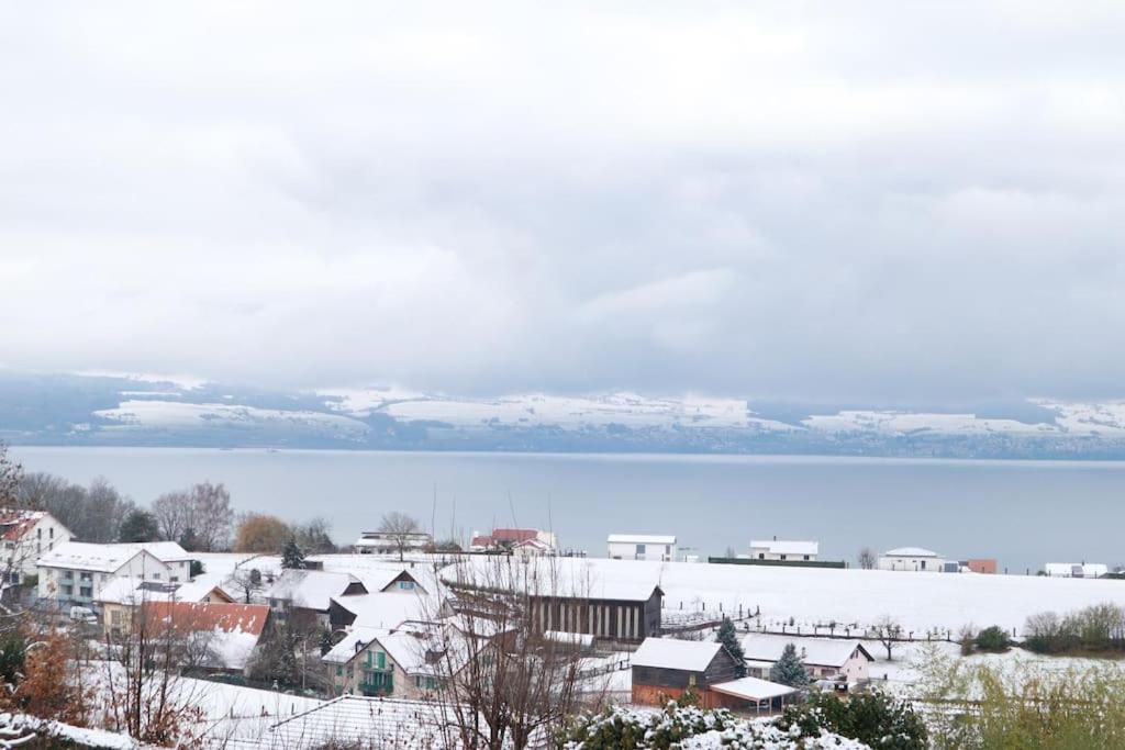 Chalet With Stunning Lake And Mountain Views Avec Une Vue A Couper Le Souffle, Une Spacieuse Terrasse Et Jardin Chatillon  Buitenkant foto